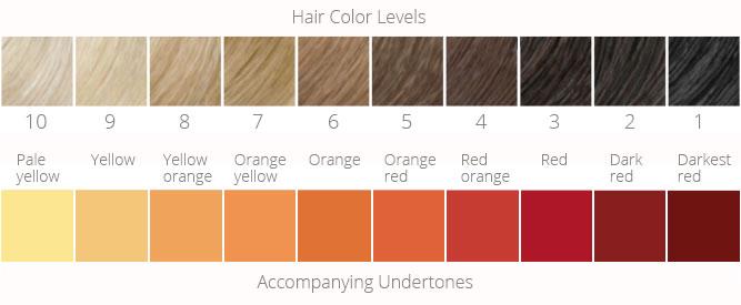 lighter hair: hair color levels