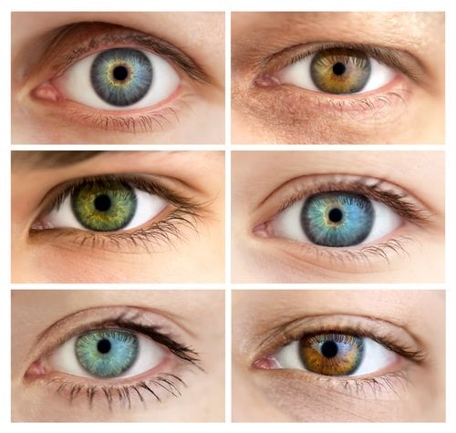 hazel eyes, green eyes, olive eyes, brown blue eyes