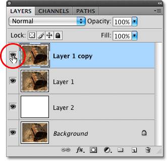 The layer visibility icon in the Layers panel in Photoshop.