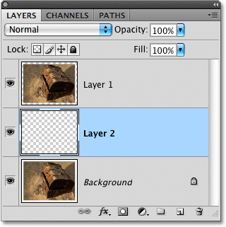 A new blank layer appears in the Layers panel.