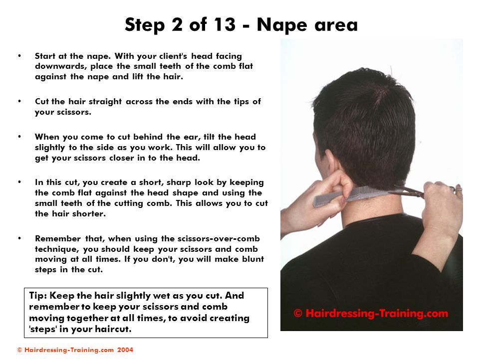 Step 2 of 13 - Nape area