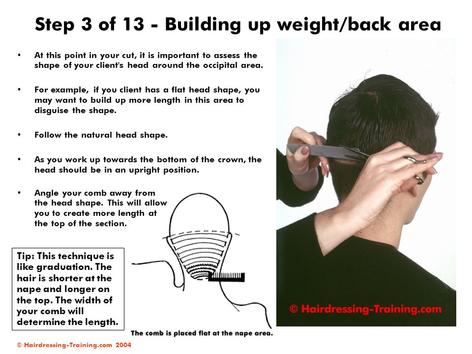 Step 3 of 13 - Building up weight/back area