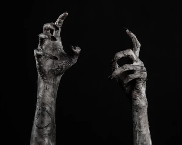 Black hand of death, the walking dead, zombie theme, halloween theme, zombie hands, black background, isolated, hand of death, mummy hands, the hands of the devil, black nails, hands monster Stock Photo