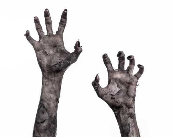 Black hand of death, the walking dead, zombie theme, halloween theme, zombie hands, white background, isolated, hand of death, mummy hands, the hands of the devil, black nails, hands monster Stock Picture