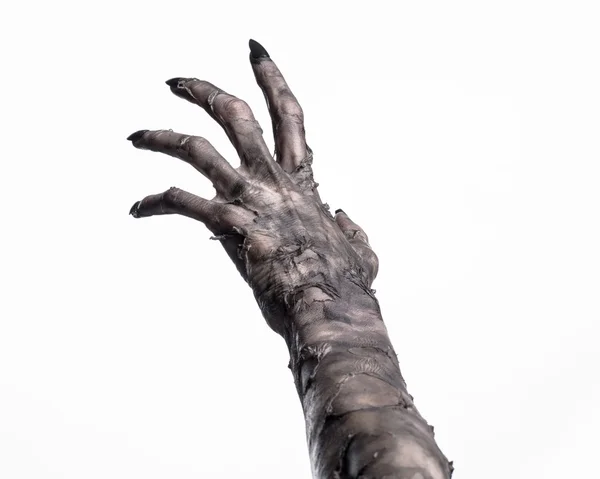 Black hand of death, the walking dead, zombie theme, halloween theme, zombie hands, white background, isolated, hand of death, mummy hands, the hands of the devil, black nails, hands monster Royalty Free Stock Photos