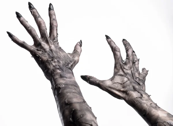 Black hand of death, the walking dead, zombie theme, halloween theme, zombie hands, white background, isolated, hand of death, mummy hands, the hands of the devil, black nails, hands monster Royalty Free Stock Photos