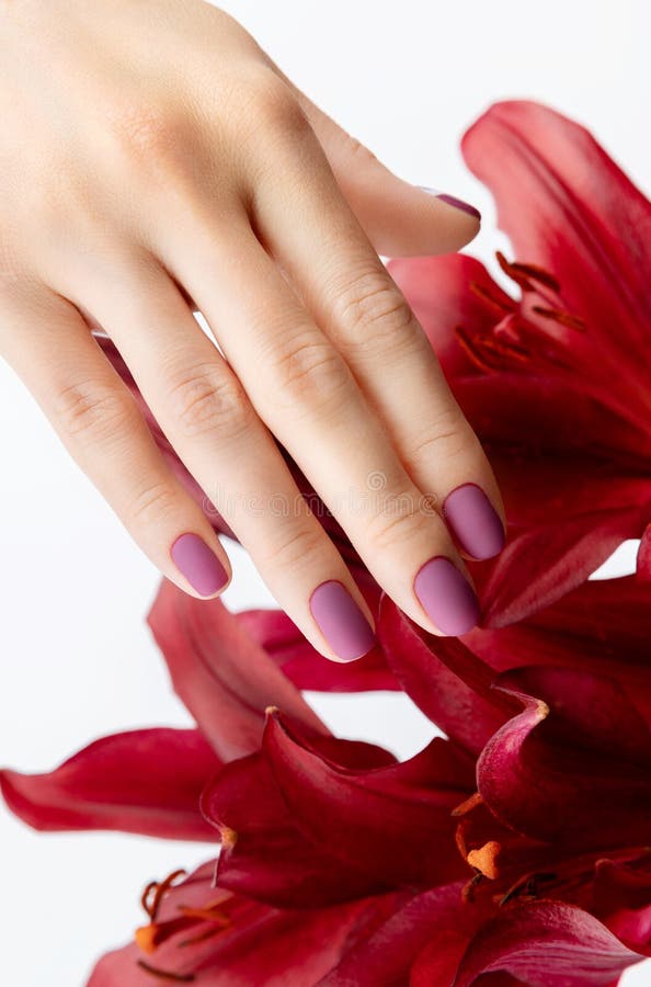 Beautiful womans hand with burgundy matte manicure with flower royalty free stock photography