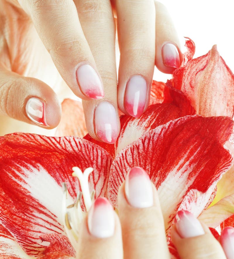 Beauty delicate hands with pink Ombre design manicure holding flower amaryllis close up isolated warm macro royalty free stock photography