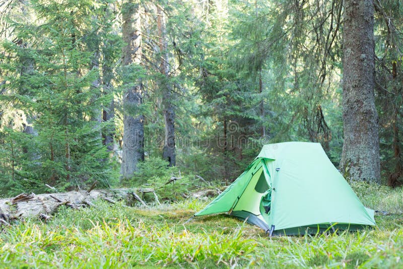 Camping area with multi-colored tents in forest. royalty free stock images