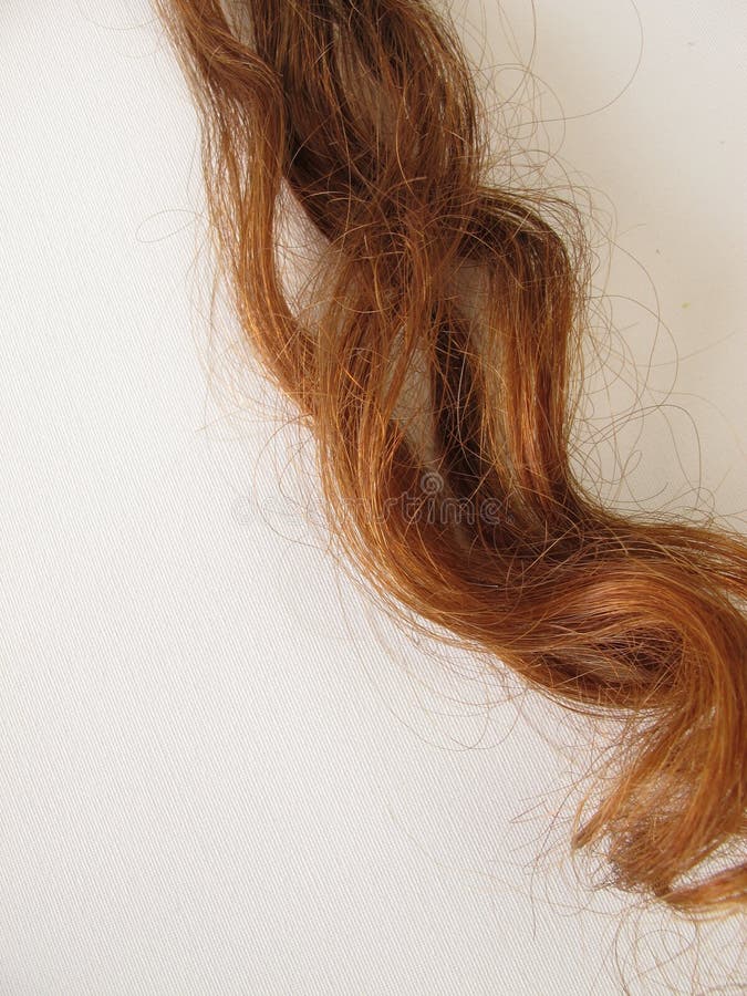 Chestnut-brown hair strand. Pretty chestnut-brown hair strand royalty free stock image