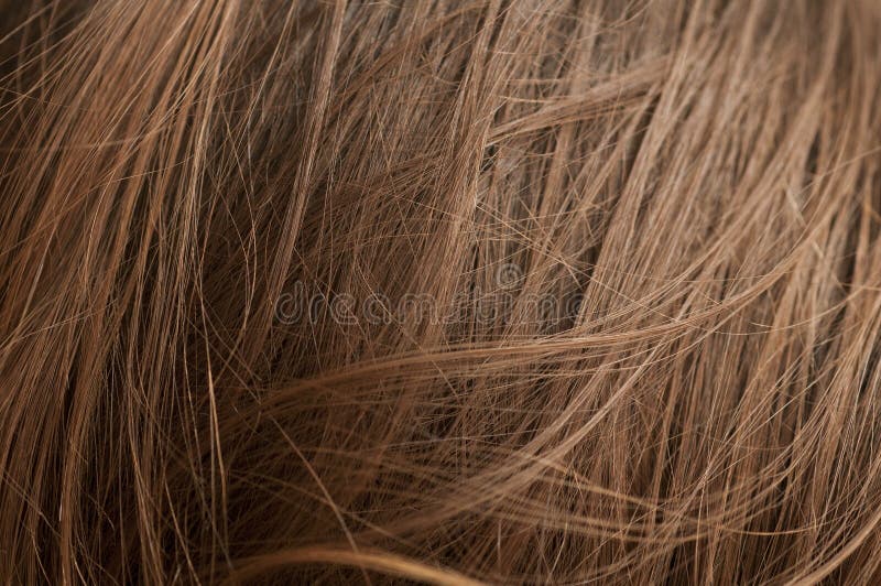 Chestnut natural hair. Closeup of chestnut natural hair texture with selective focus stock photos