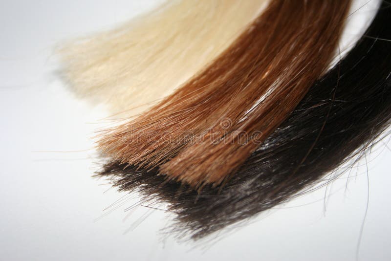 Colored strands of hair. Colored hair strands used by professional hairdressing salons in brown, black and blond on a white background royalty free stock images