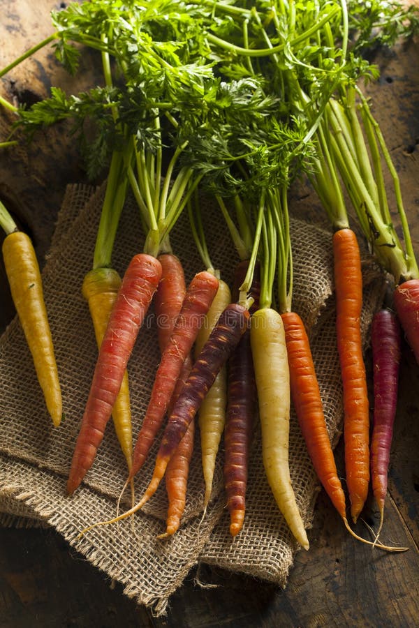 Colorful Multi Colored Raw Carrots stock photos