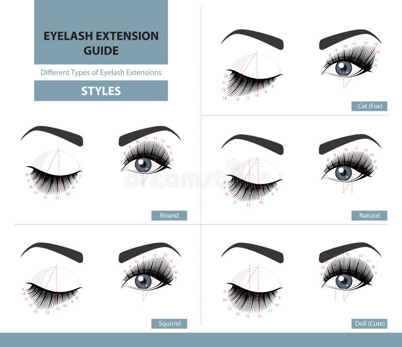 Different types of eyelash extensions. Styles for the most flattering look. Infographic vector illustration stock illustration