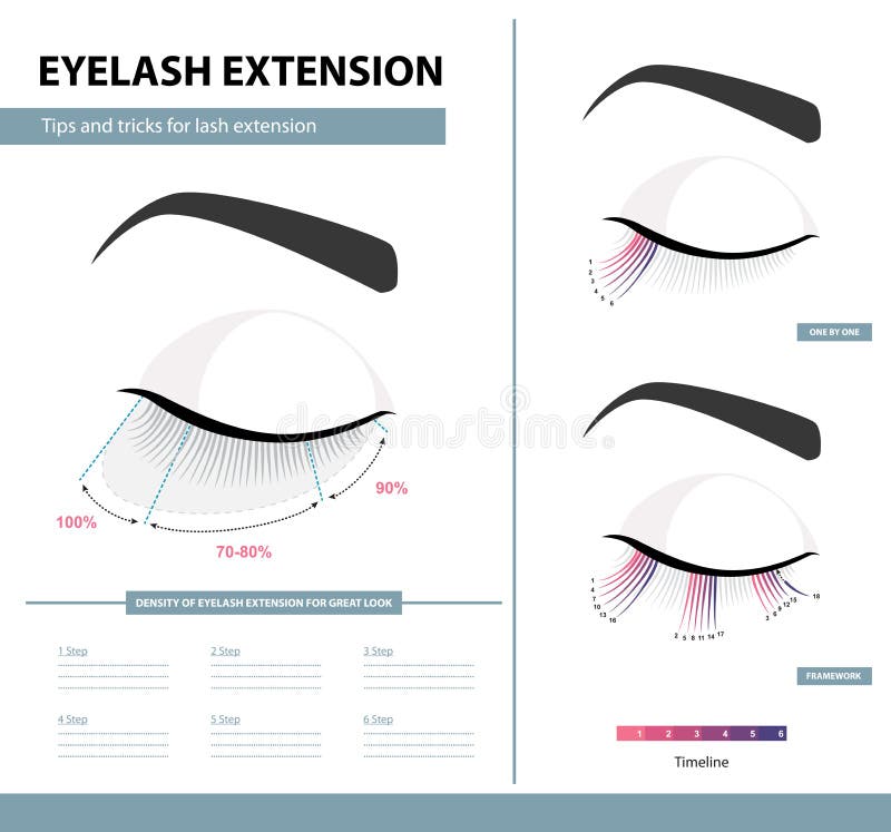 Eyelash extension guide. Density of eyelash extension for great look. Tips and tricks. Infographic vector illustration. Template stock illustration