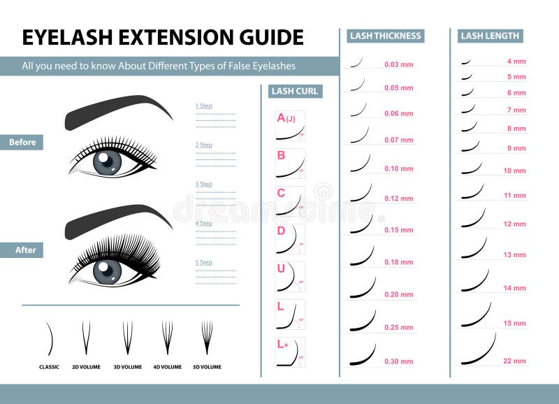 Eyelash extension guide. Different Types of False Eyelashes. Infographic vector illustration. Template for Makeup stock illustration