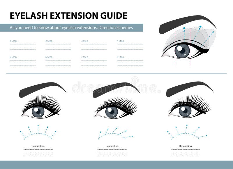 Eyelash extension guide. Direction schemes. Tips and tricks for lash extension. Infographic vector illustration. Template vector illustration