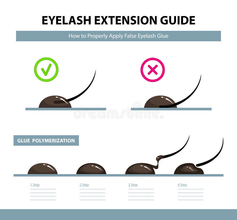 Eyelash extension guide. How to properly apply false eyelash glue. Glue polymerization step by step vector illustration