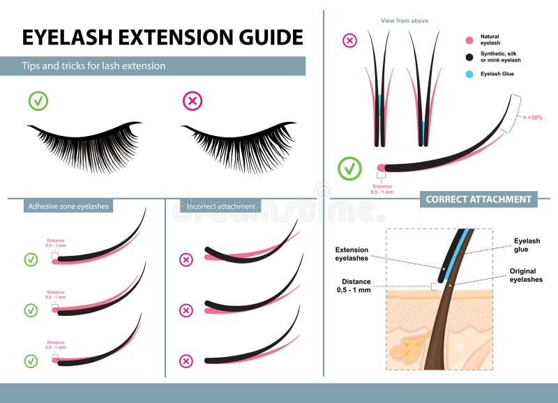 Eyelash extension guide. Tips and tricks for lash extension. Infographic vector illustration. Correct and incorrect attachment royalty free illustration