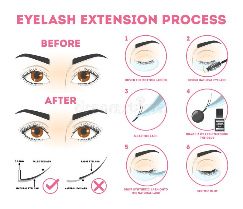 Eyelash extension guide for woman. Infographic with eyelashes royalty free illustration