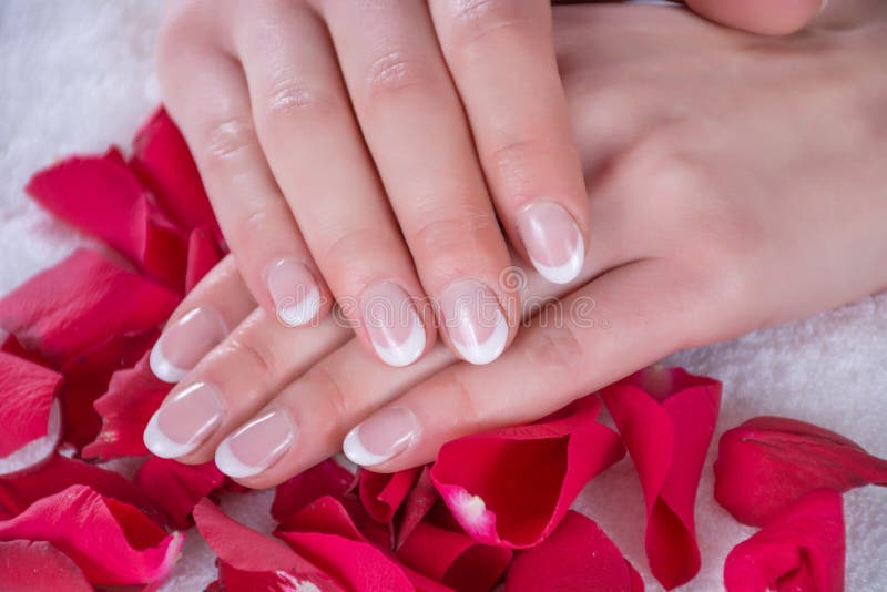 French nails manicure on young girl hands. Hands of girl is on red rose petals in beauty studio stock photos
