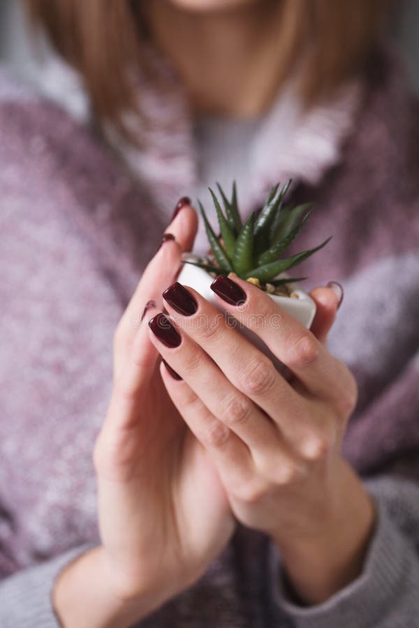 Girl with burgundy manicure holding a pot with a flower stock photos