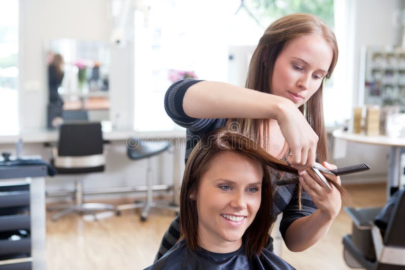 Hairdresser Cutting Client