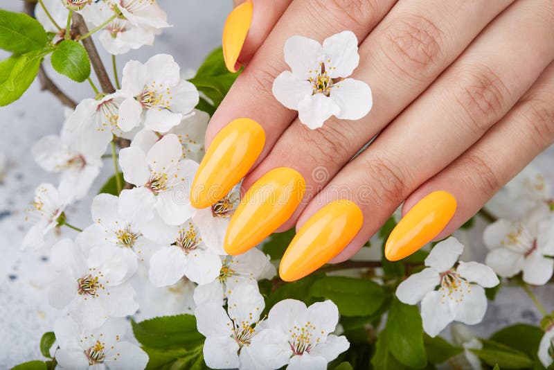Hand with long artificial manicured nails colored with yellow nail polish royalty free stock images