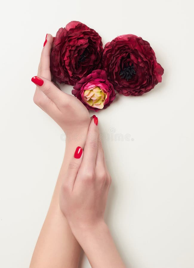 Hands with red manicure and red flowers. Closeup cupped hands with red manicure and red flowers.beauty woman hands with artificial flower royalty free stock photography