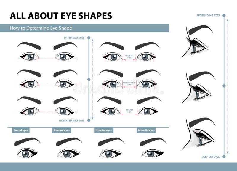 How to determine Eye Shape. Various types of female eyes. Set of vector illustrations with captions. Template for Makeup vector illustration