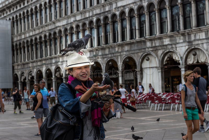 27 of June, St. Marks Square, Venice, Italy: Some pigeons are sitting on a Japanese women`s hat, that tried to feed them at he sq. Uare in the middle of the day royalty free stock image