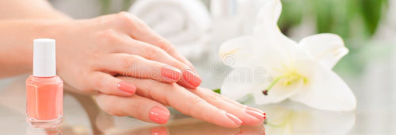 Manicure concept. Beautiful woman& x27;s hands with perfect manicure at beauty salon. royalty free stock image