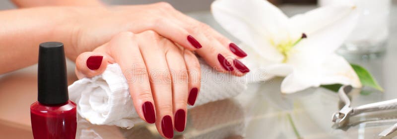 Manicure concept. Beautiful woman& x27;s hands with perfect manicure at beauty salon. stock images