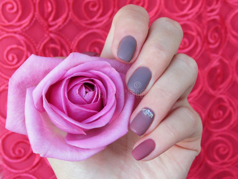 Manicure dusty rose stock image