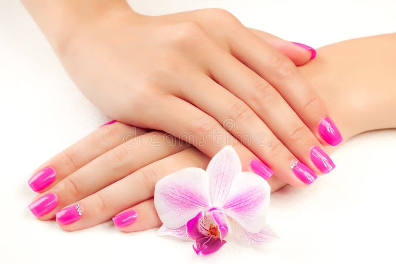 Manicure with orchid flower. isolated stock images