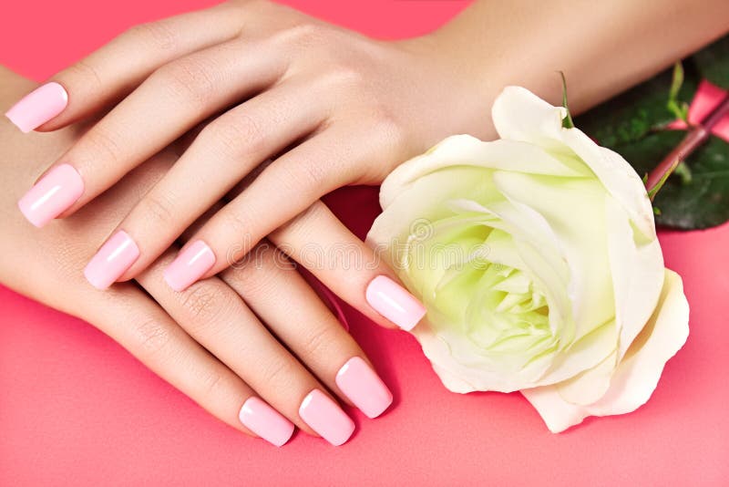 Manicured nails with pink nail polish. Manicure with nailpolish. Fashion art manicure, shiny gel lacquer. Nails salon stock photography