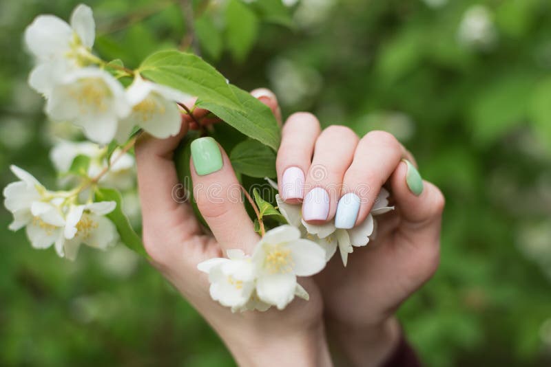 Neat spring manicure on short nails. Gel Polish summer design. Hands and Jasmine flowers stock images