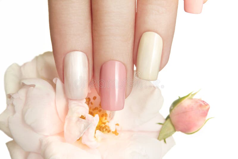 Pastel manicure with rose. stock photos