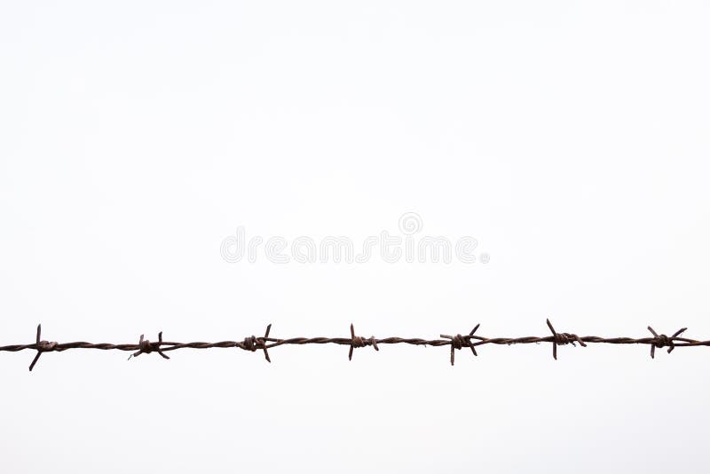 Strands of barb wire isolated against white. Chain royalty free stock photography