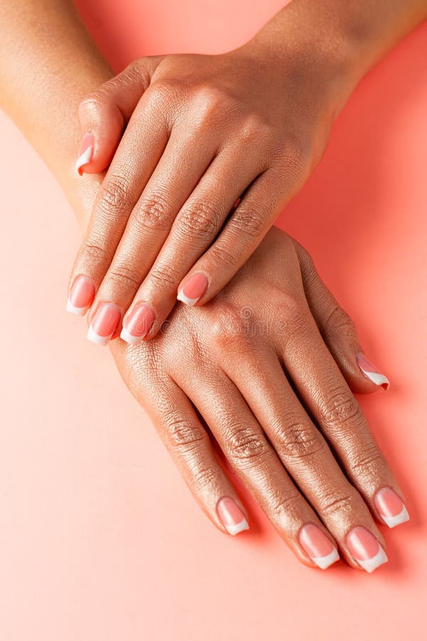 Stylish trendy french manicure. Hands of a beautiful young woman are covered by highlight on a pink background stock images