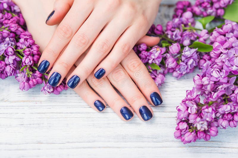 Woman hands with dark blue manicure and lilac flowers royalty free stock images