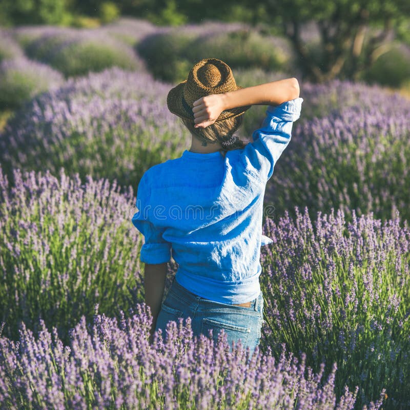 Young woman in straw hat enjoying lavender field, square crop. Young blond curly haired woman traveller wearing straw hat, blue shirt and denim shorts enjoying stock photos